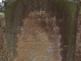 image of grave number 507561